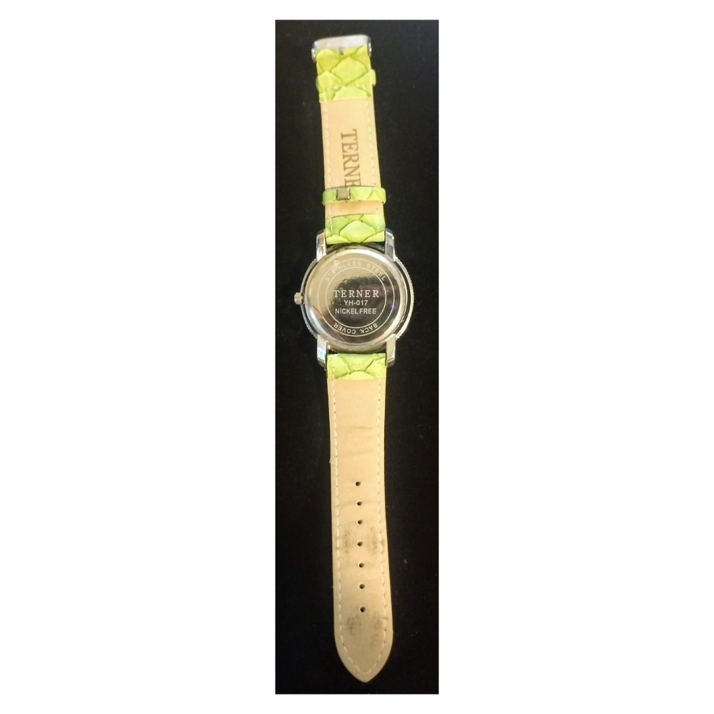 Terner Watch - image 2
